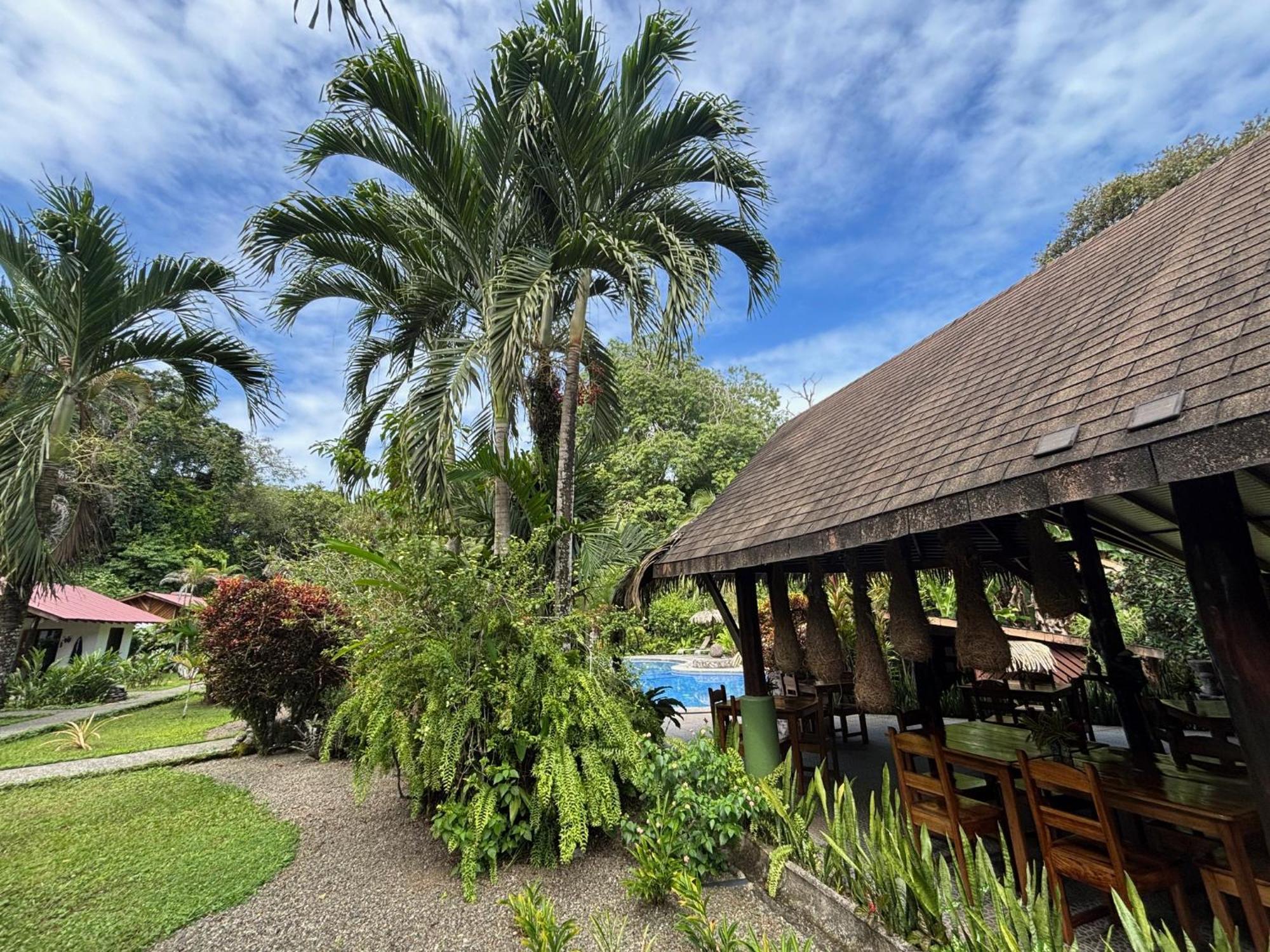 Hotel Suizo Loco Lodge & Resort Cahuita Exteriör bild