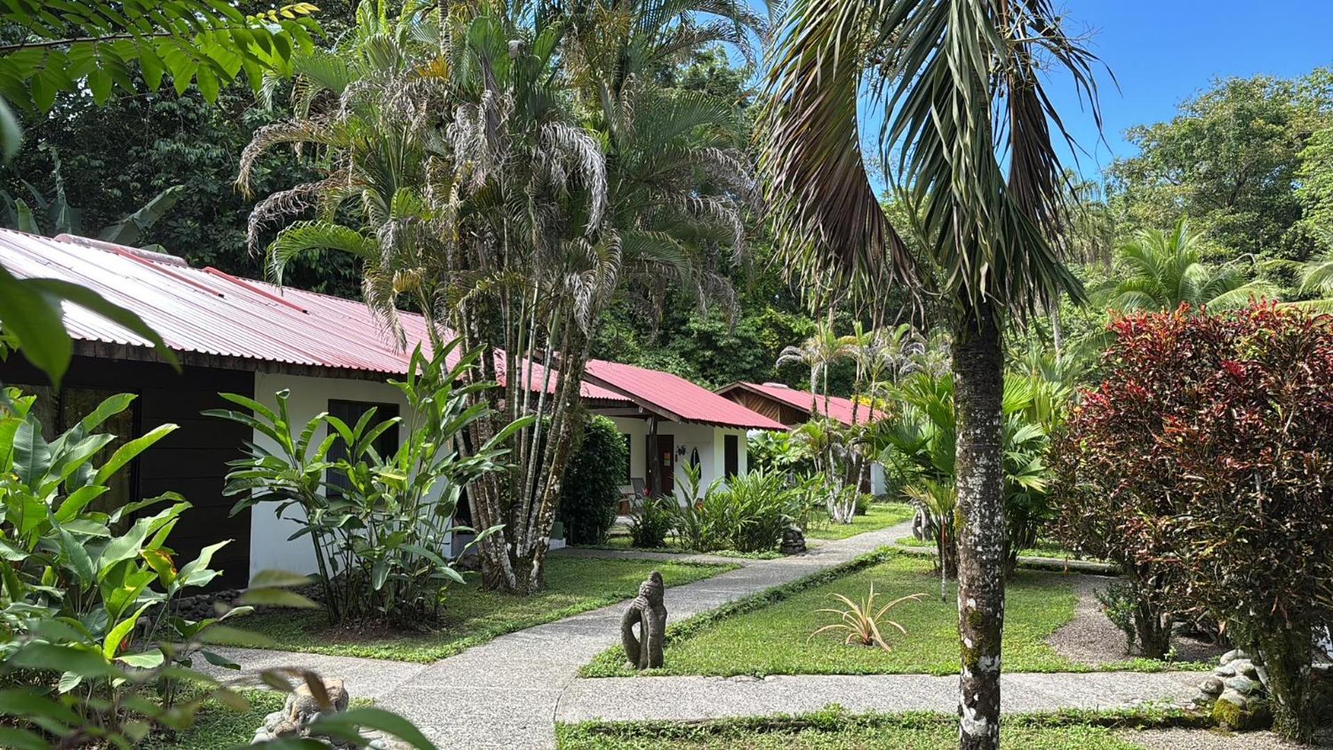 Hotel Suizo Loco Lodge & Resort Cahuita Exteriör bild