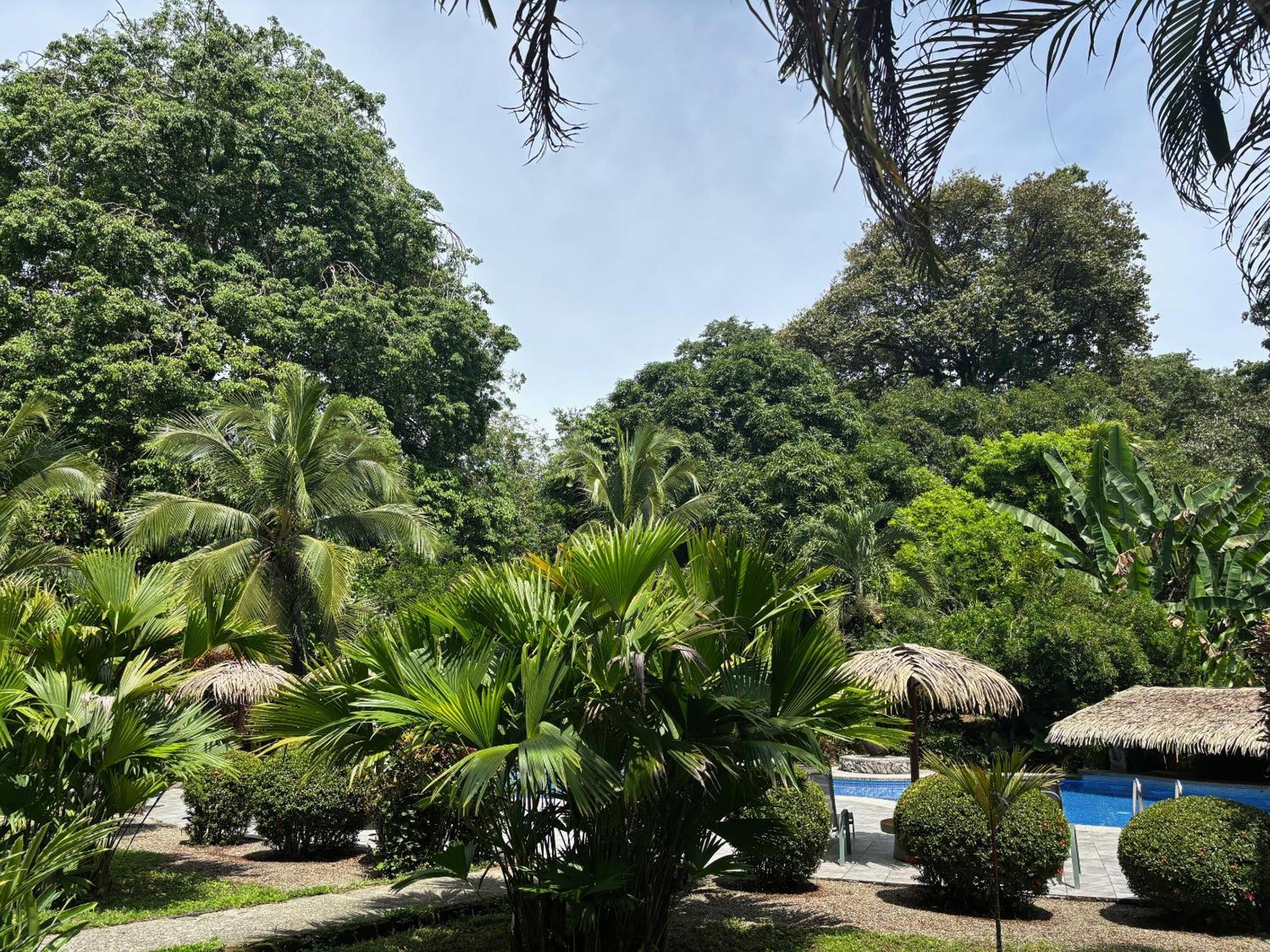 Hotel Suizo Loco Lodge & Resort Cahuita Exteriör bild