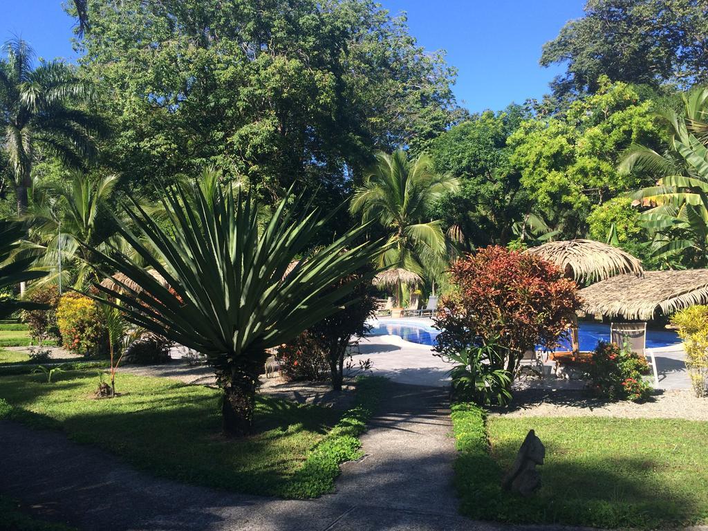 Hotel Suizo Loco Lodge & Resort Cahuita Rum bild