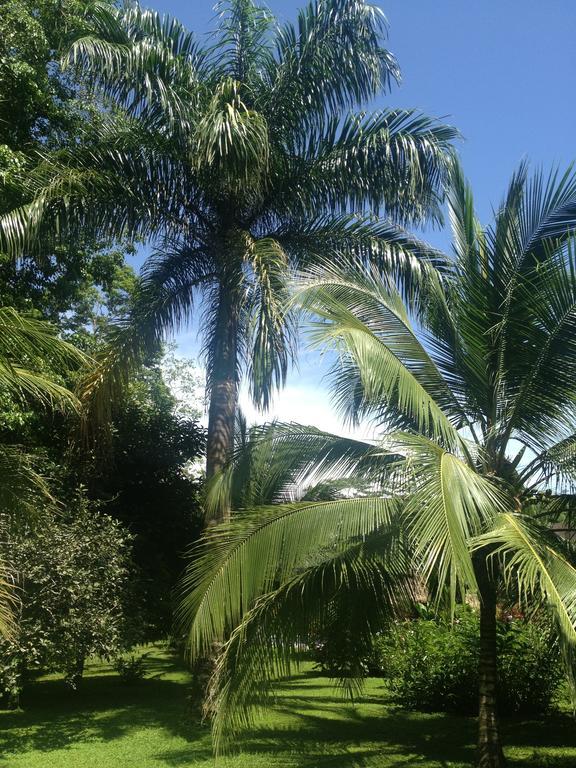Hotel Suizo Loco Lodge & Resort Cahuita Rum bild