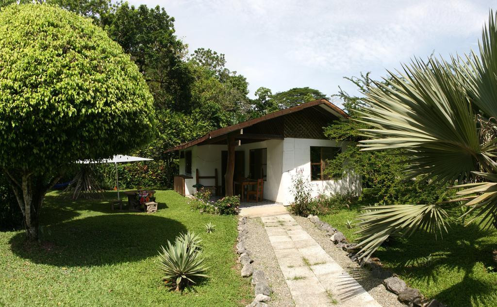 Hotel Suizo Loco Lodge & Resort Cahuita Rum bild